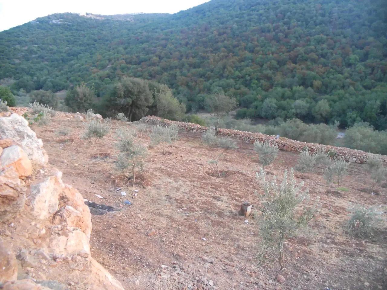 قطعة ارض للبيع منطقة برقش