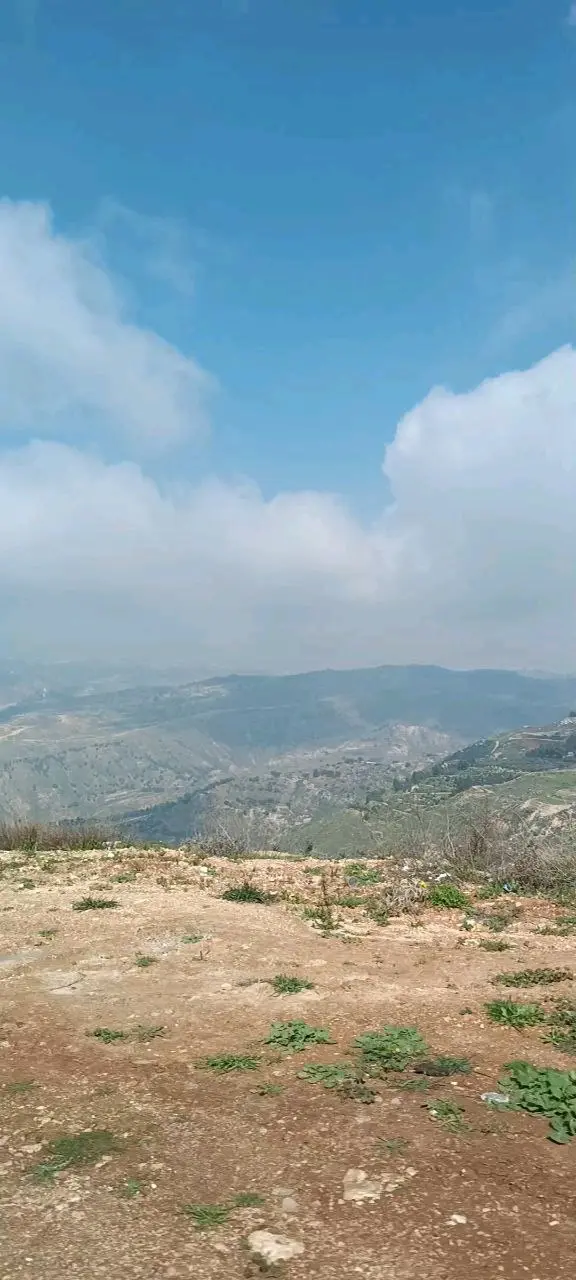 مزرعه للبيع بسعر تفضلي