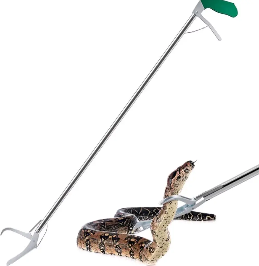 عصاة السيطره على الافاعي