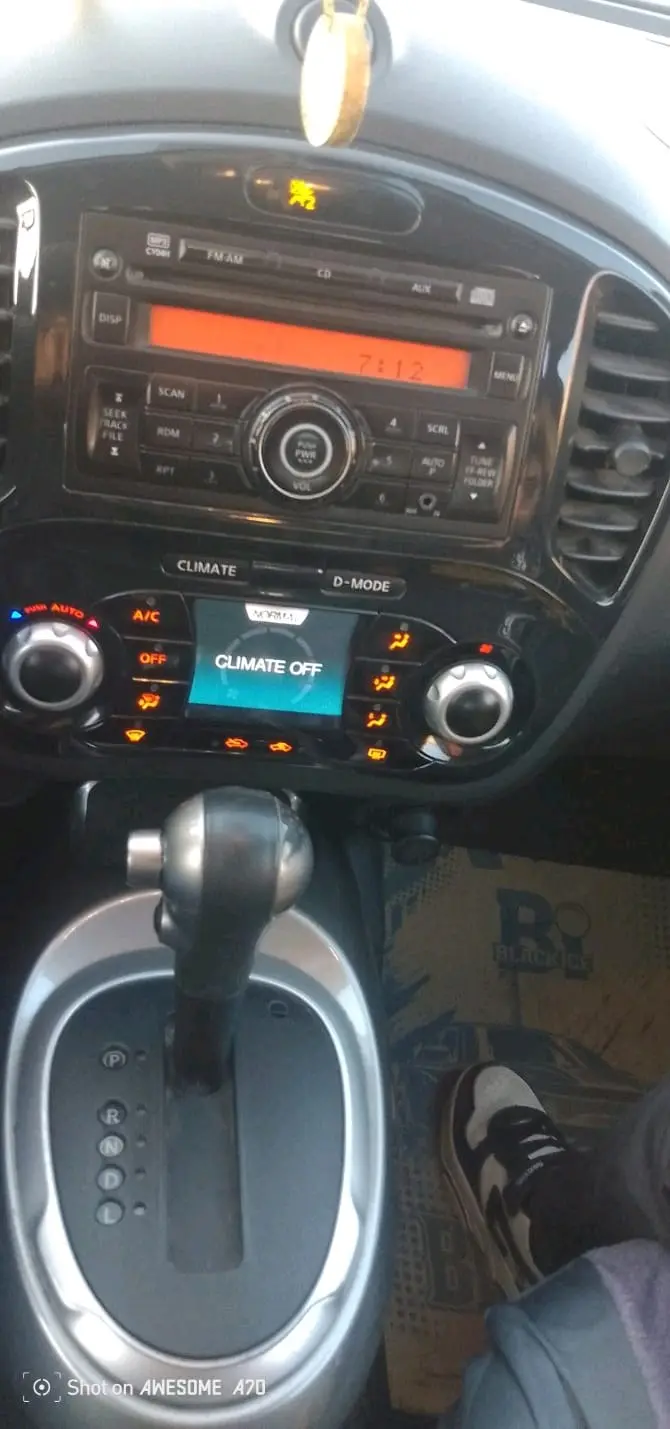 نيسان جوك 2013