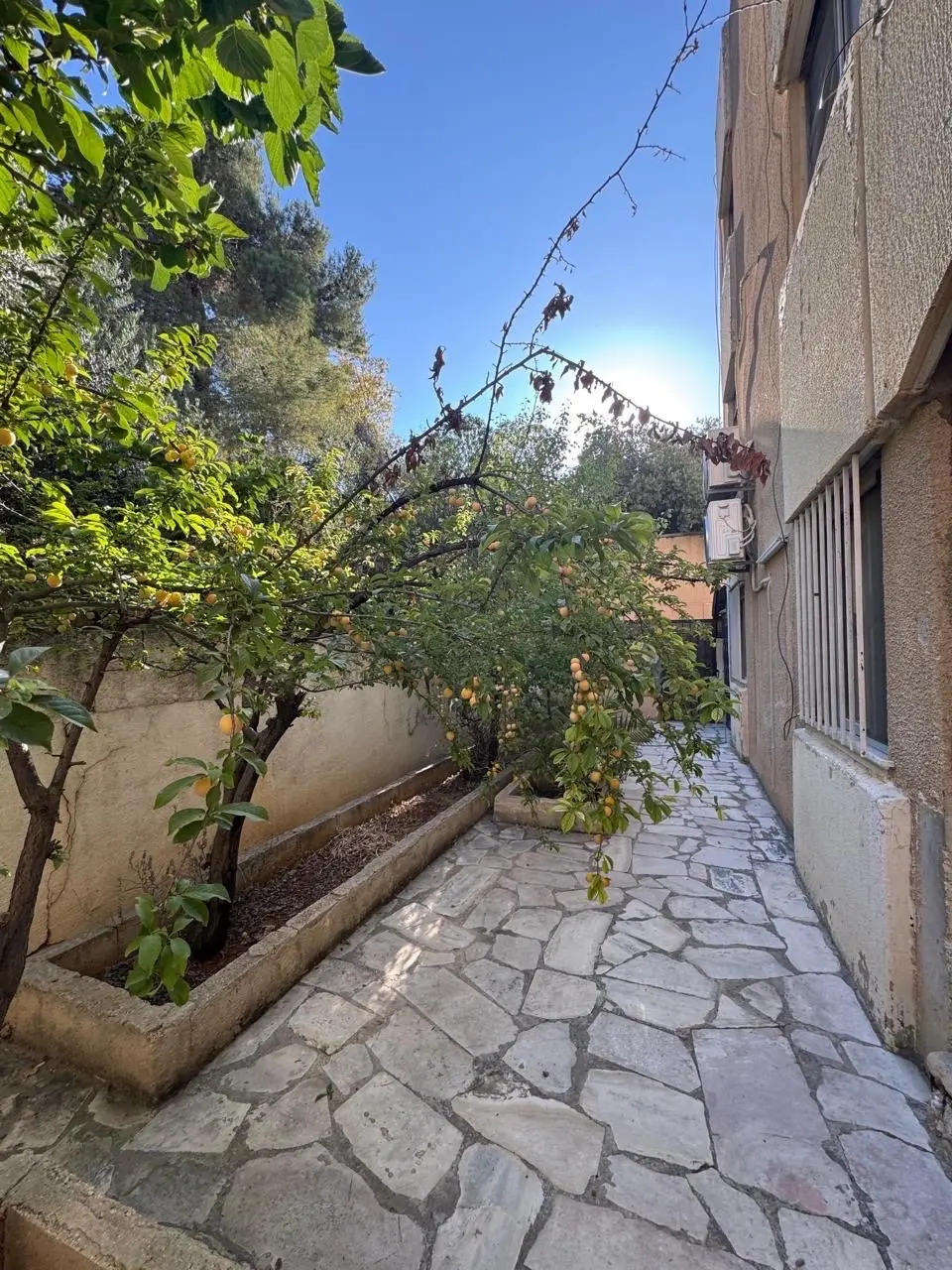 شقه ارضيه حاره ٥ ابو نصير