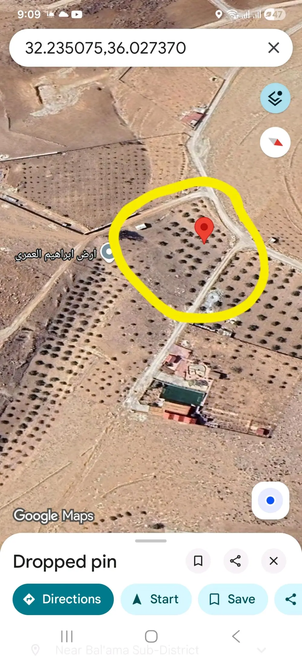 مزرعة بلعما للبيع