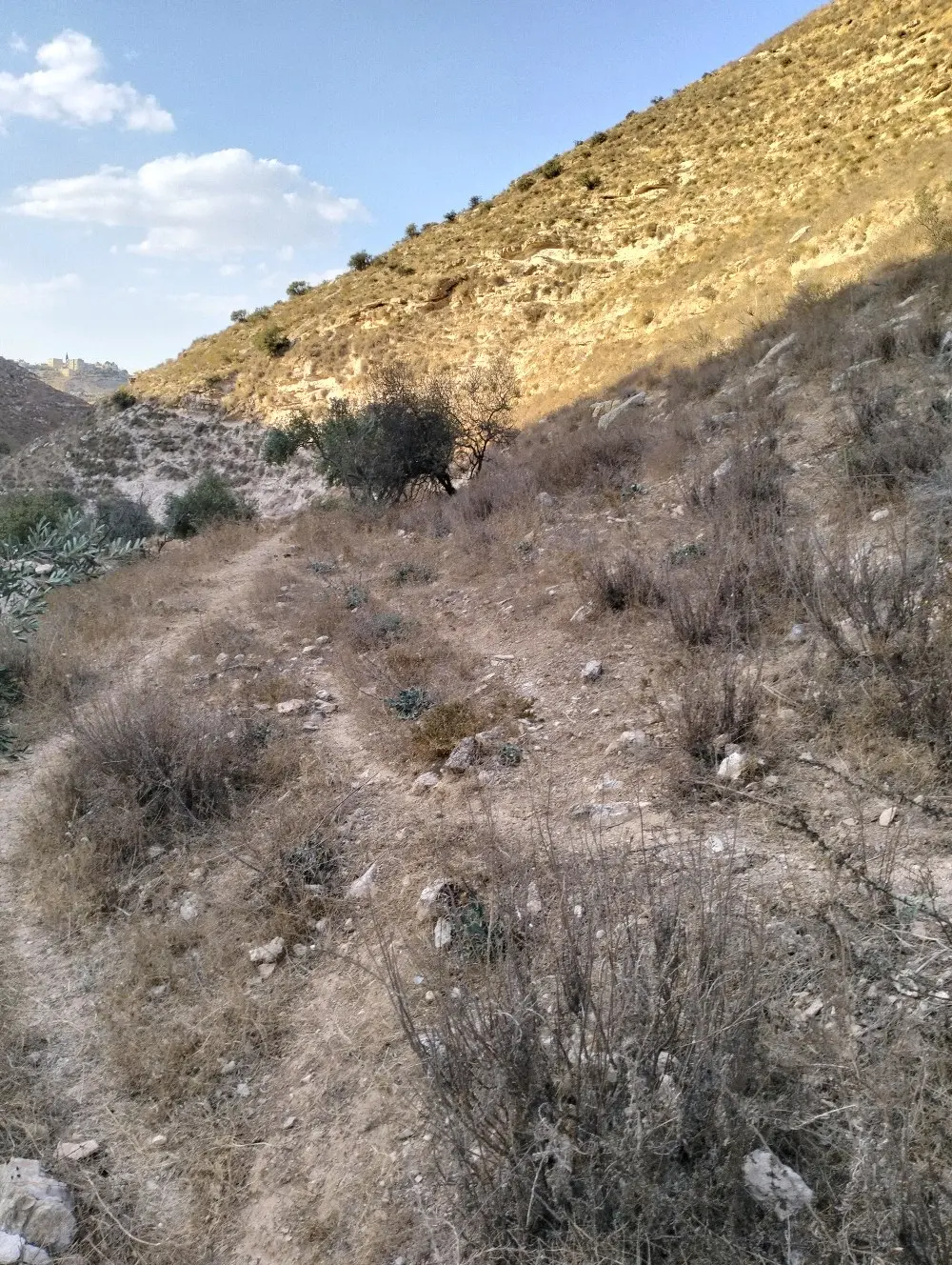 ارض زراعيه للبيع