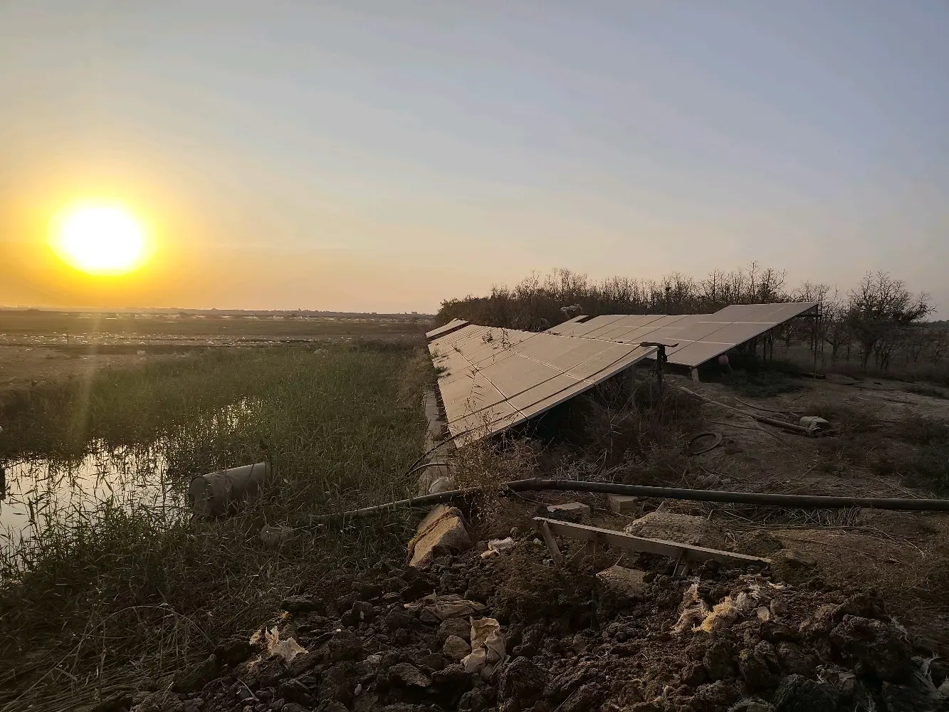 مزرعة استثمارية للبيع