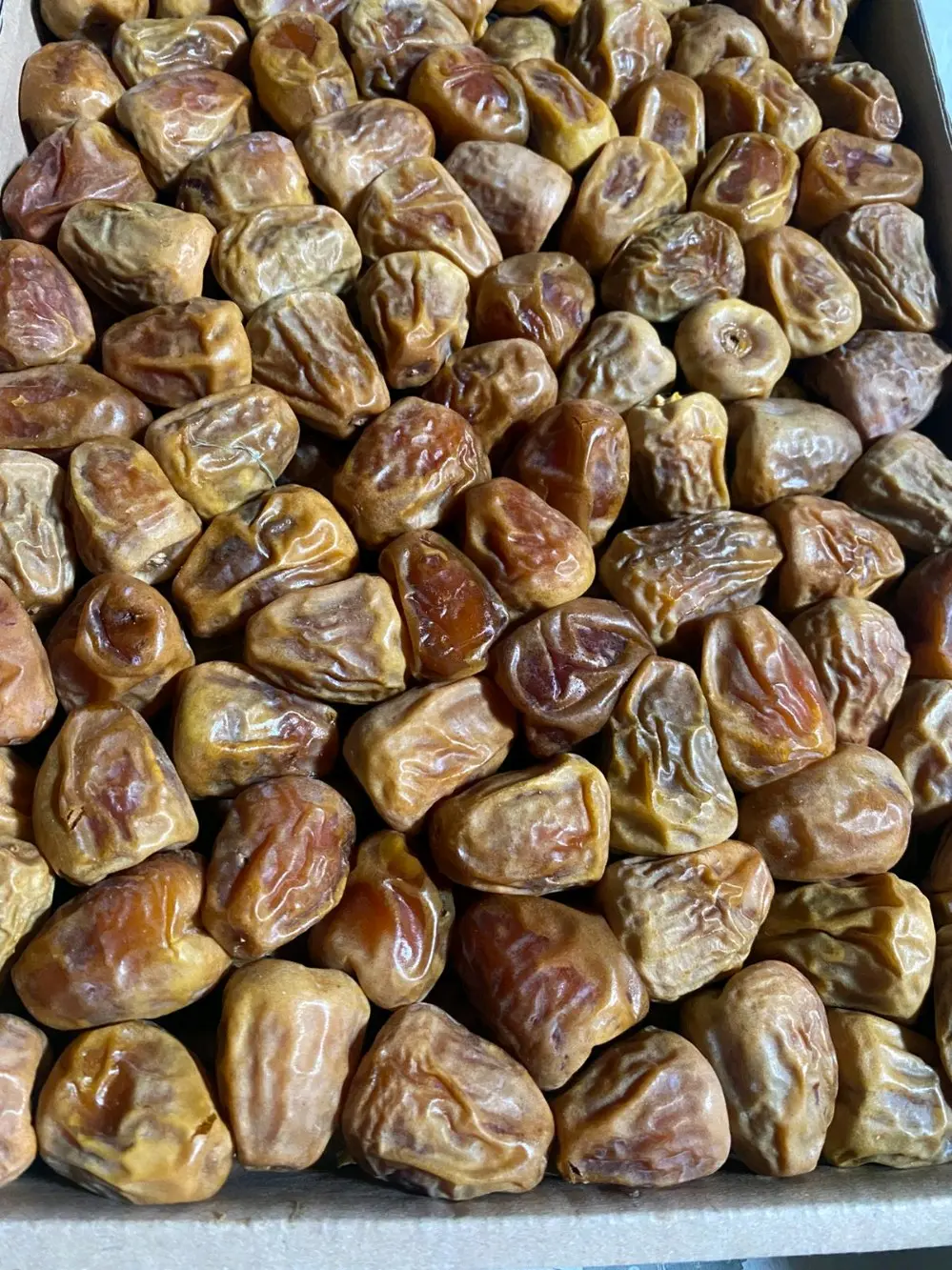 تمر سكري مفتل