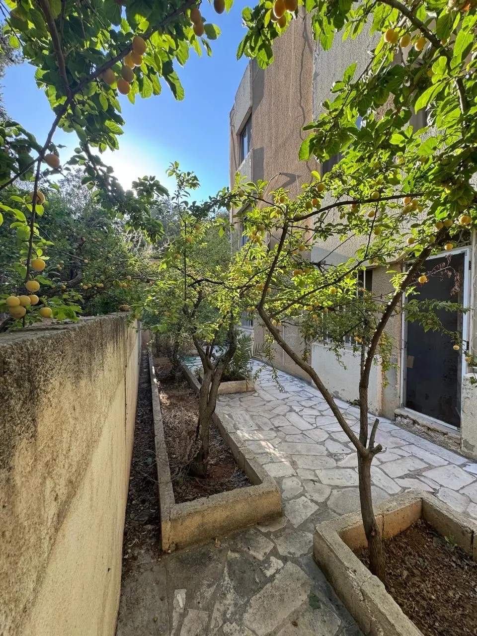 شقه ارضيه حاره ٥ ابو نصير