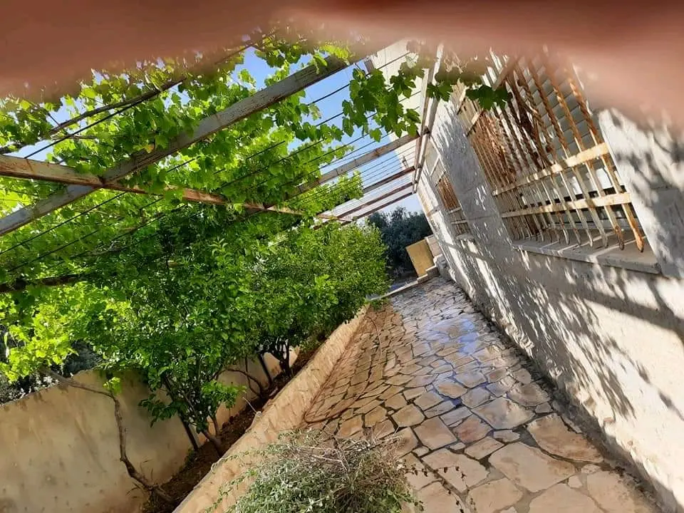 للبيع في ناعور حوض ام تينه