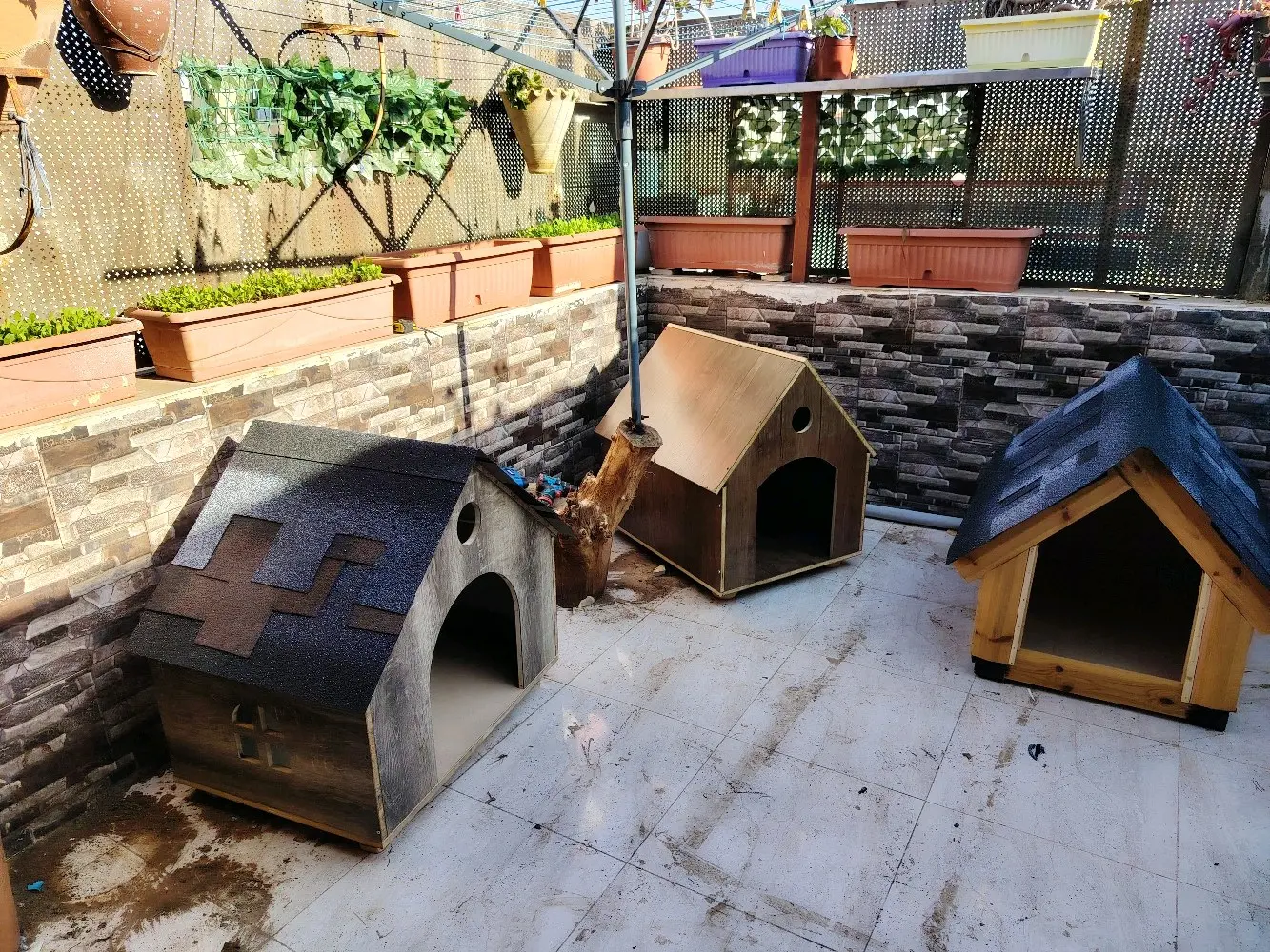 wooden house for dogs different types and sizes isolated from water and warm