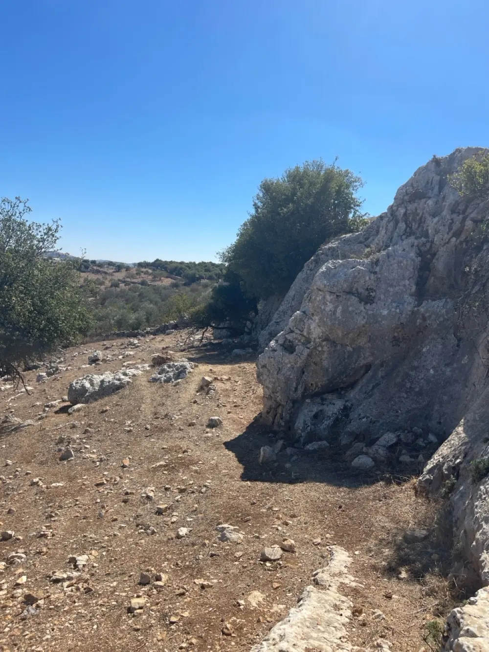 ارض باطلالة بانورامية على قلعة وجبال عجلون