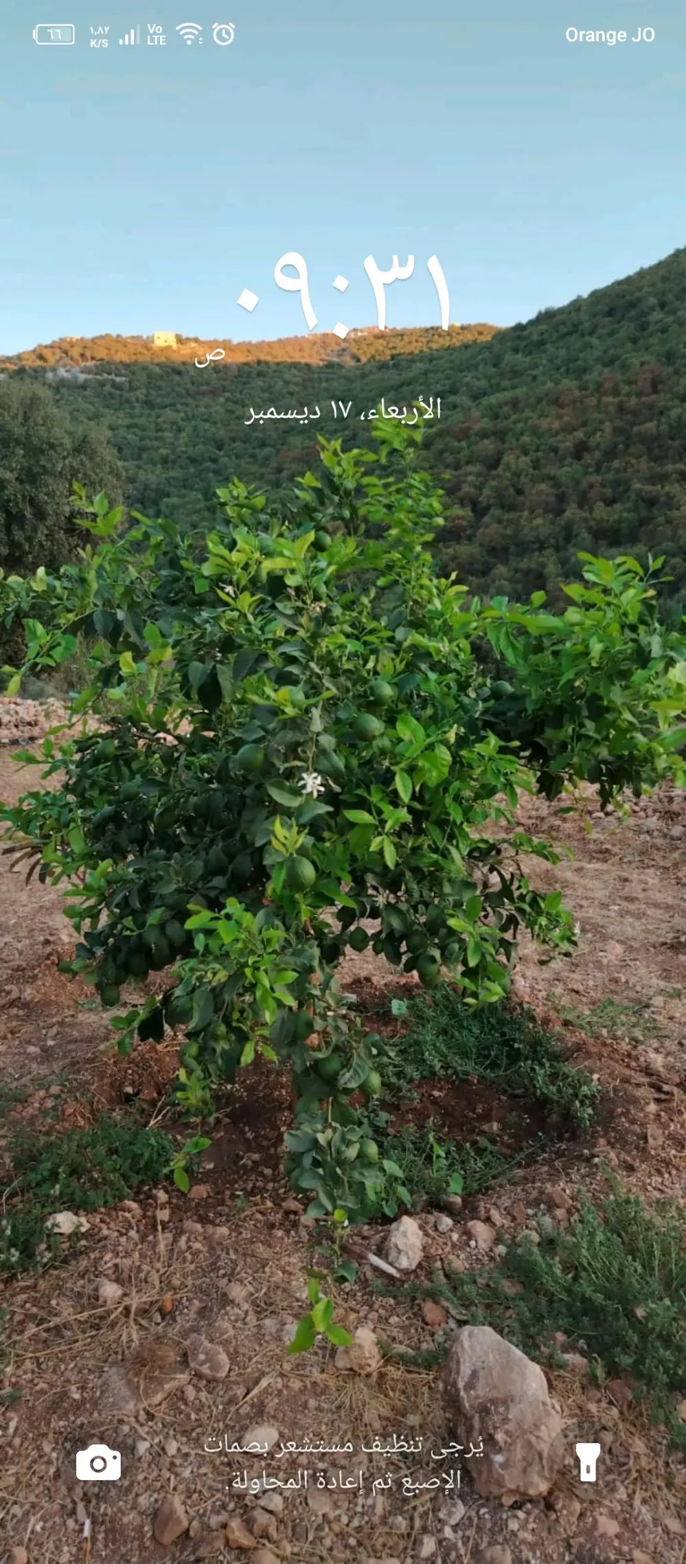 قطعة ارض للبيع منطقة برقش