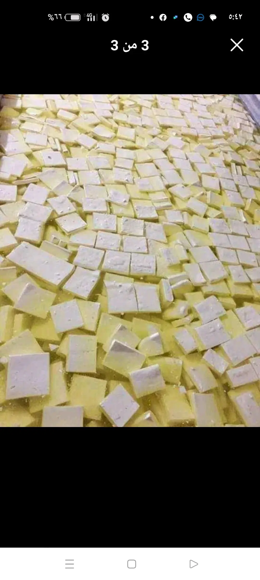 جبنة غنم بلدية