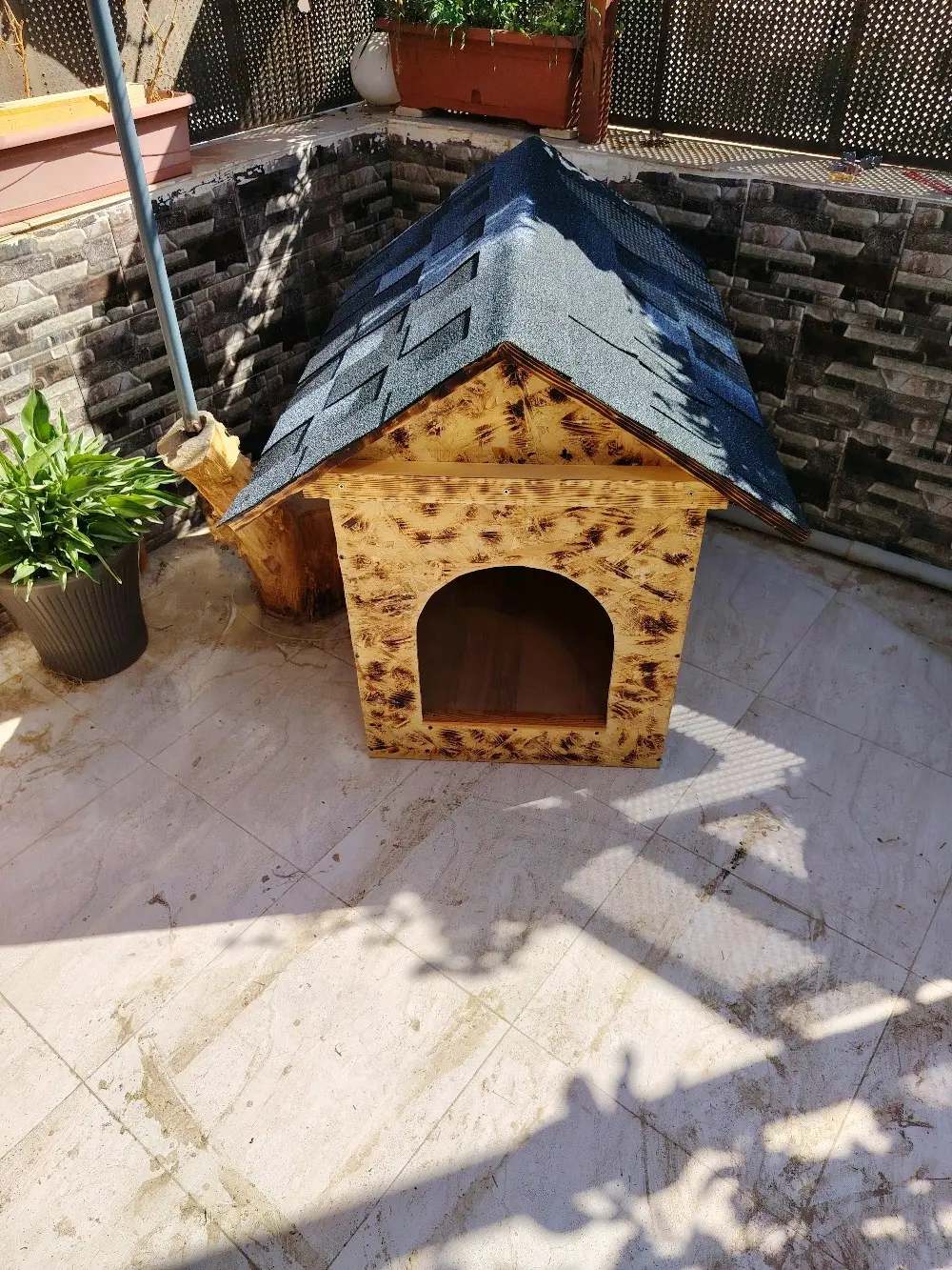 wooden house for dogs different types and sizes isolated from water and warm