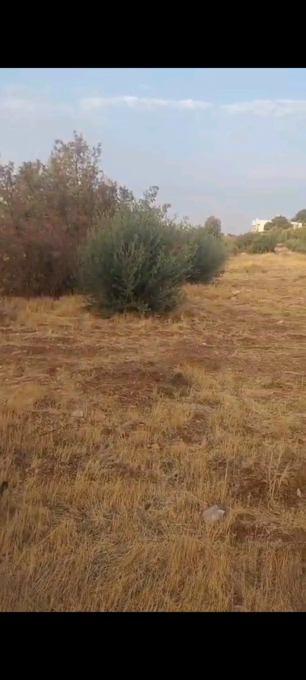 فرصة مميزة جدا