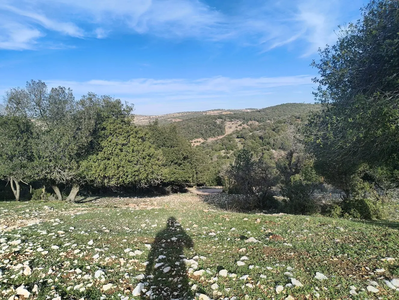 ارض للبيع في جبال عين جنا عجلون بمساحة 3687 م2 بسعر 55 الف قابل للتفاوض