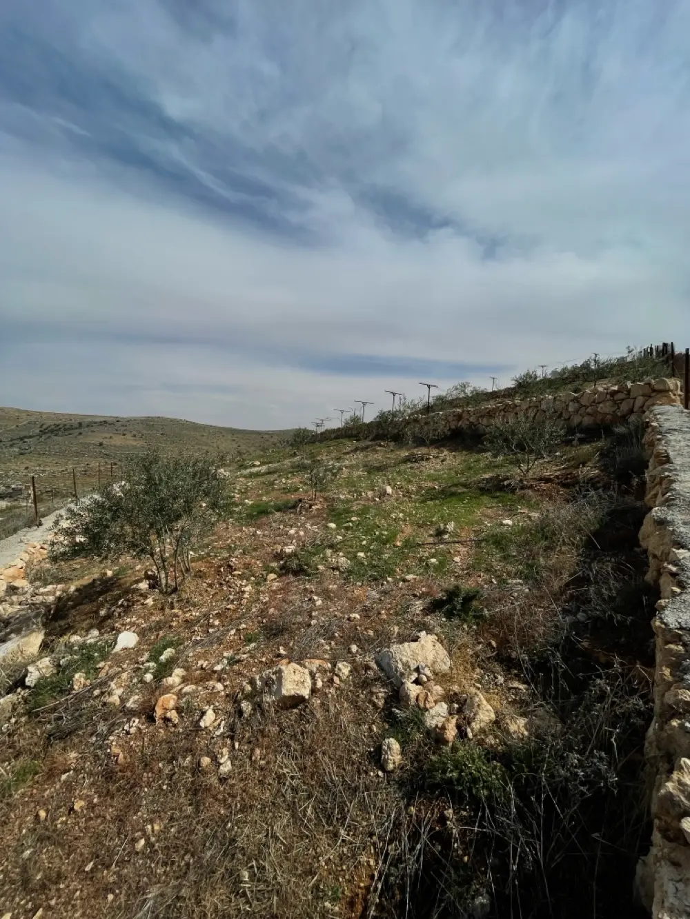 مزرعه مميزه للبيع