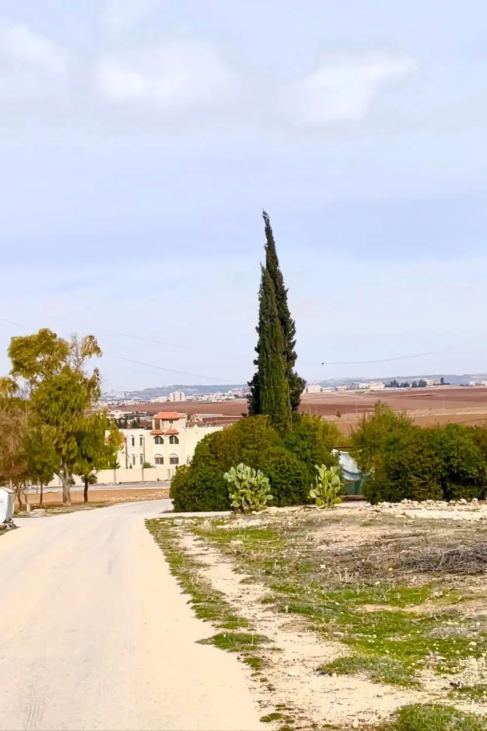 ارض للبيع في جلول