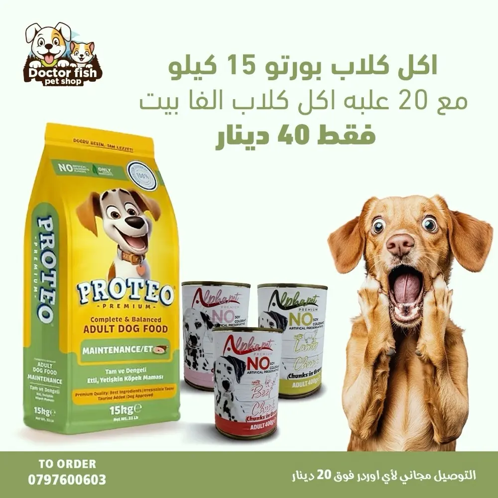 اكل قطط وكلاب