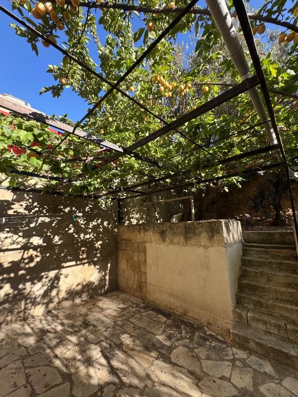 شقه ارضيه حاره ٥ ابو نصير