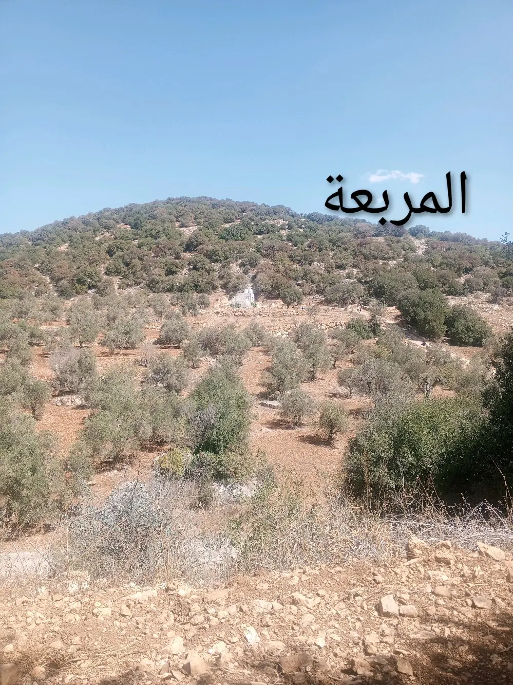 قطعة ارض للبيع منطقة برقش