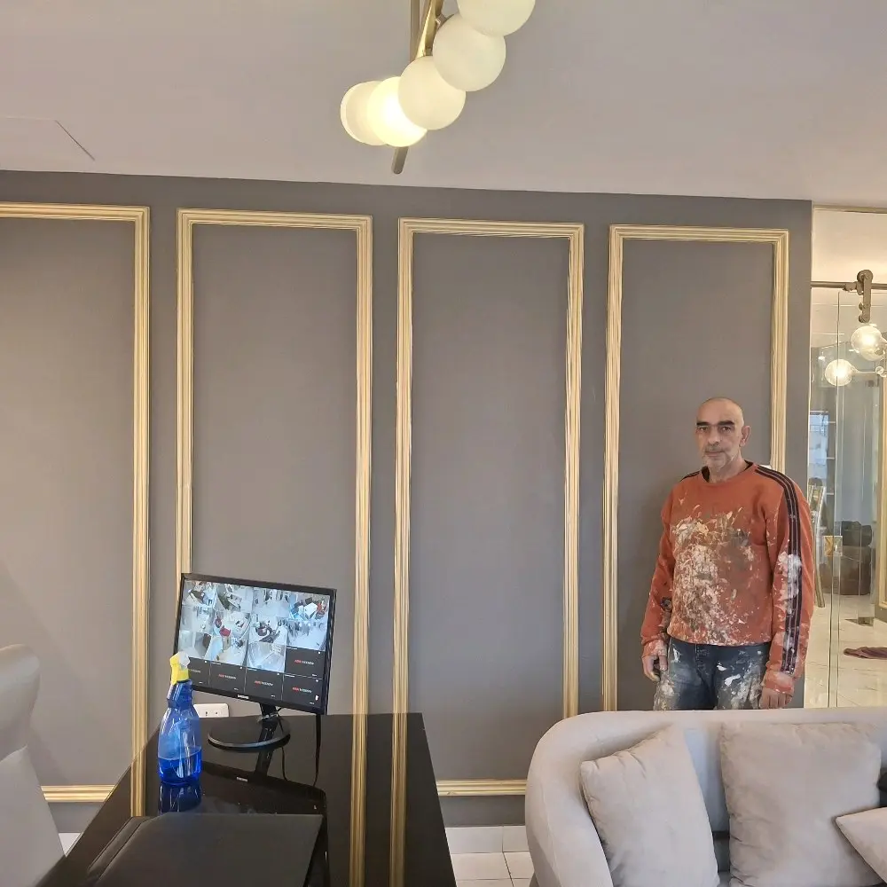 دهان وديكورات ابو صلاح