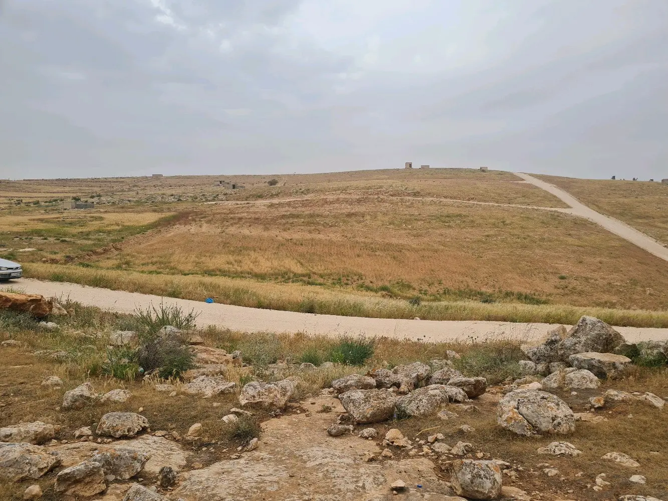 ارض زراعية للبيع