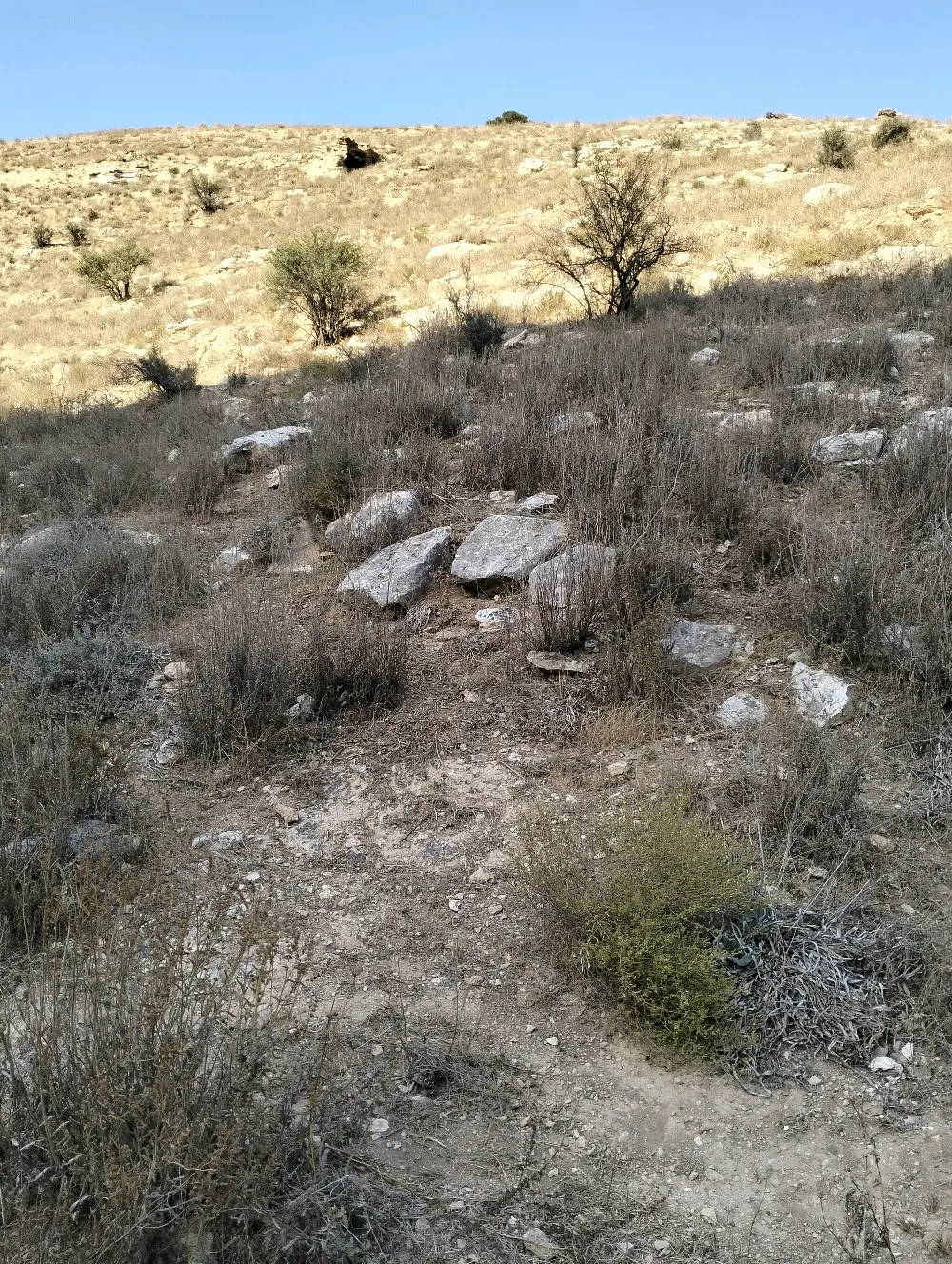 ارض زراعيه للبيع