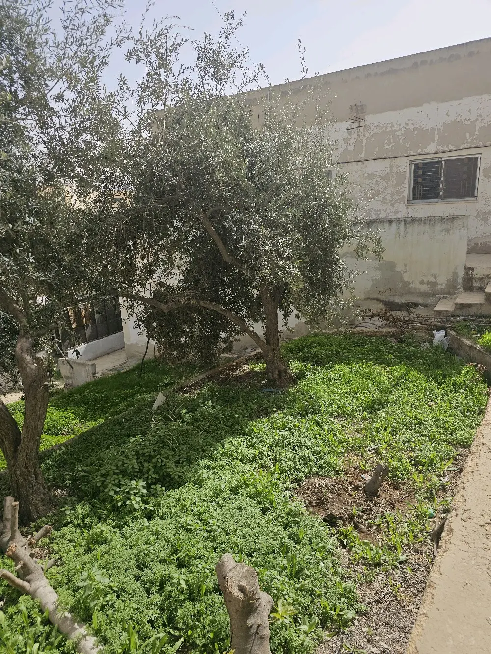 منزل مستقل منطابقين مع قطعة ارضجاهزة للبناءعلى الشارع