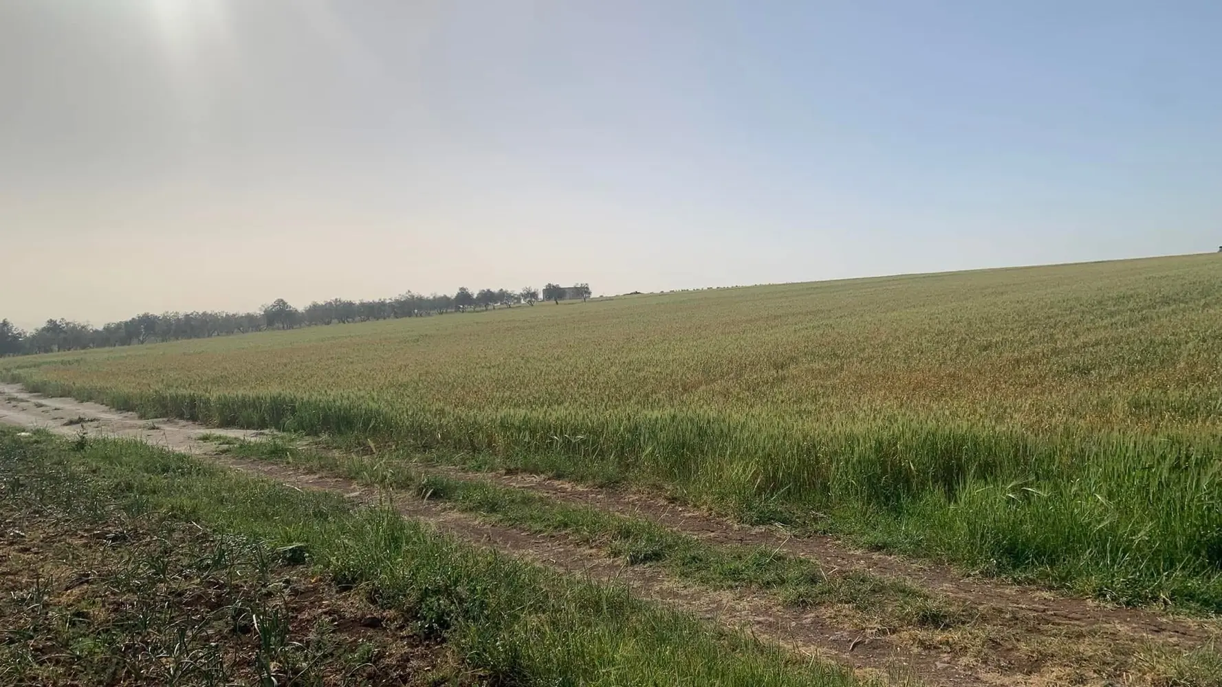 قطعة أرض في ام قيس شمال المملكة