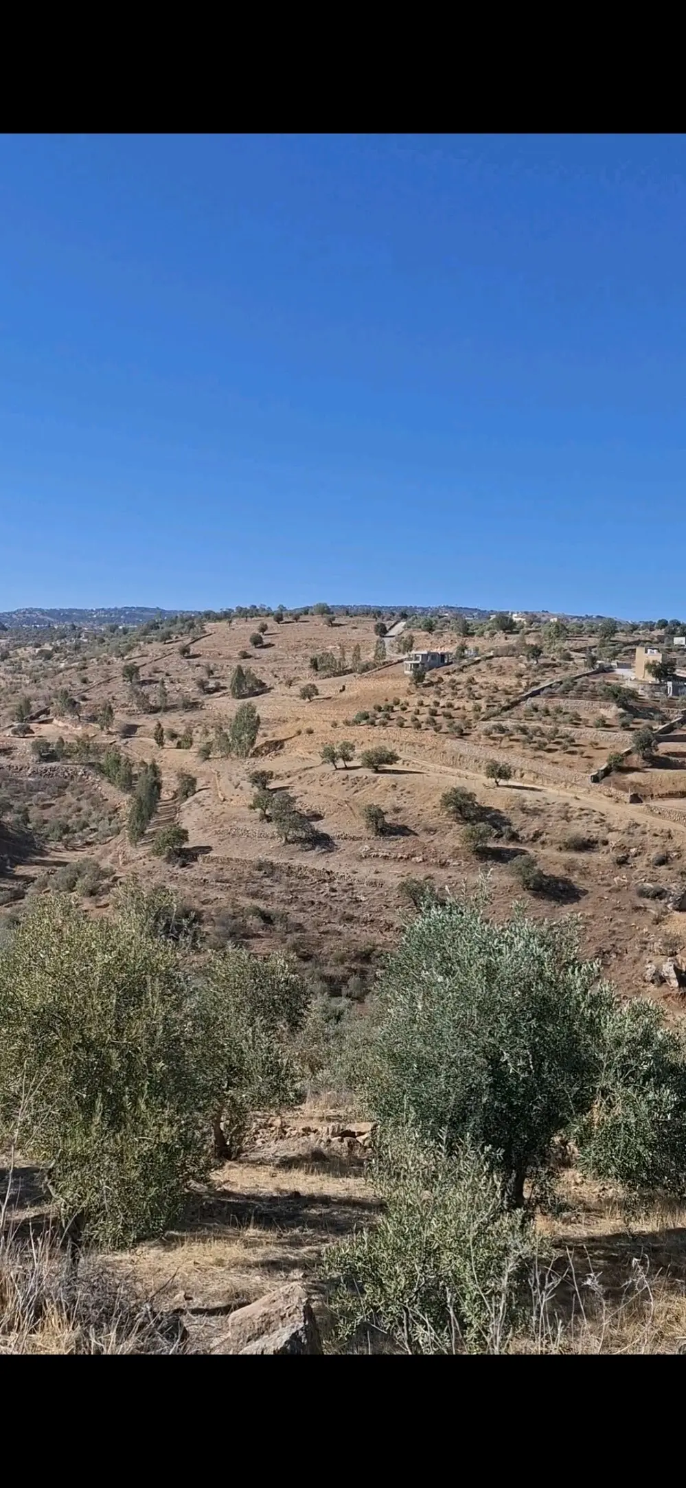 ارض مميزة وبسعر مميز السلط - الصبيحي