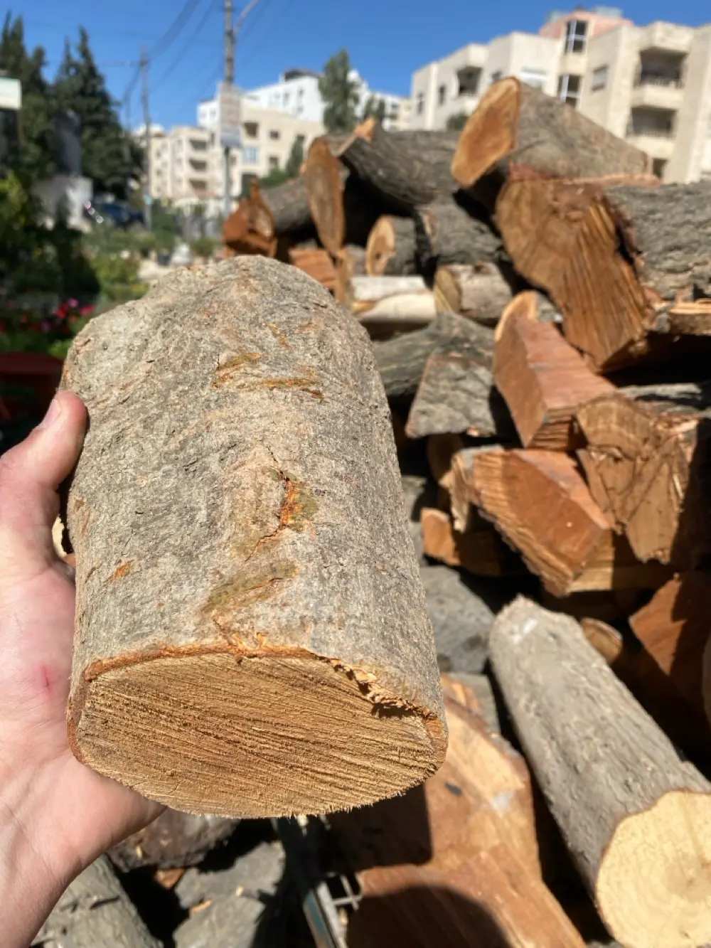 حطب ناشف نخب أول