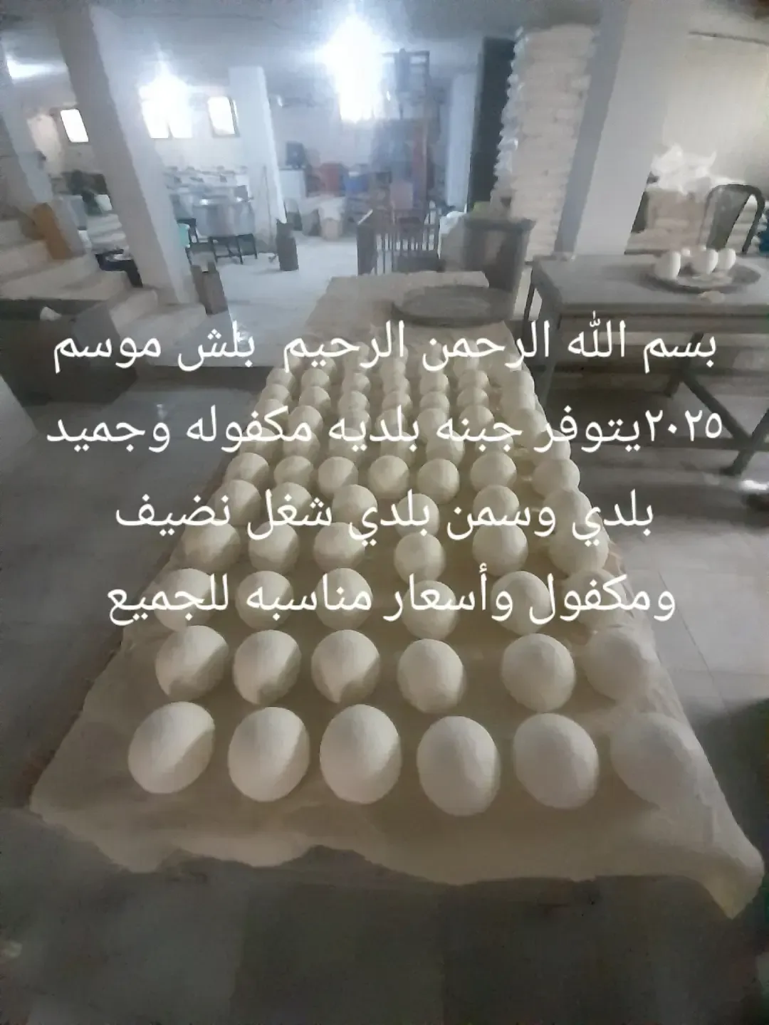 gallery 6