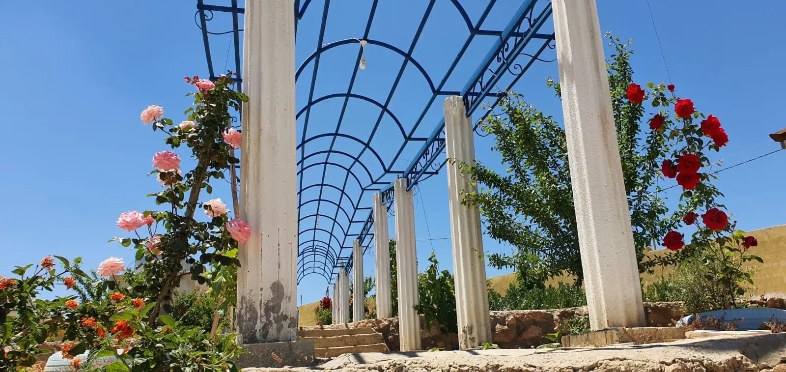 مزرعة للبيع طريق المطار