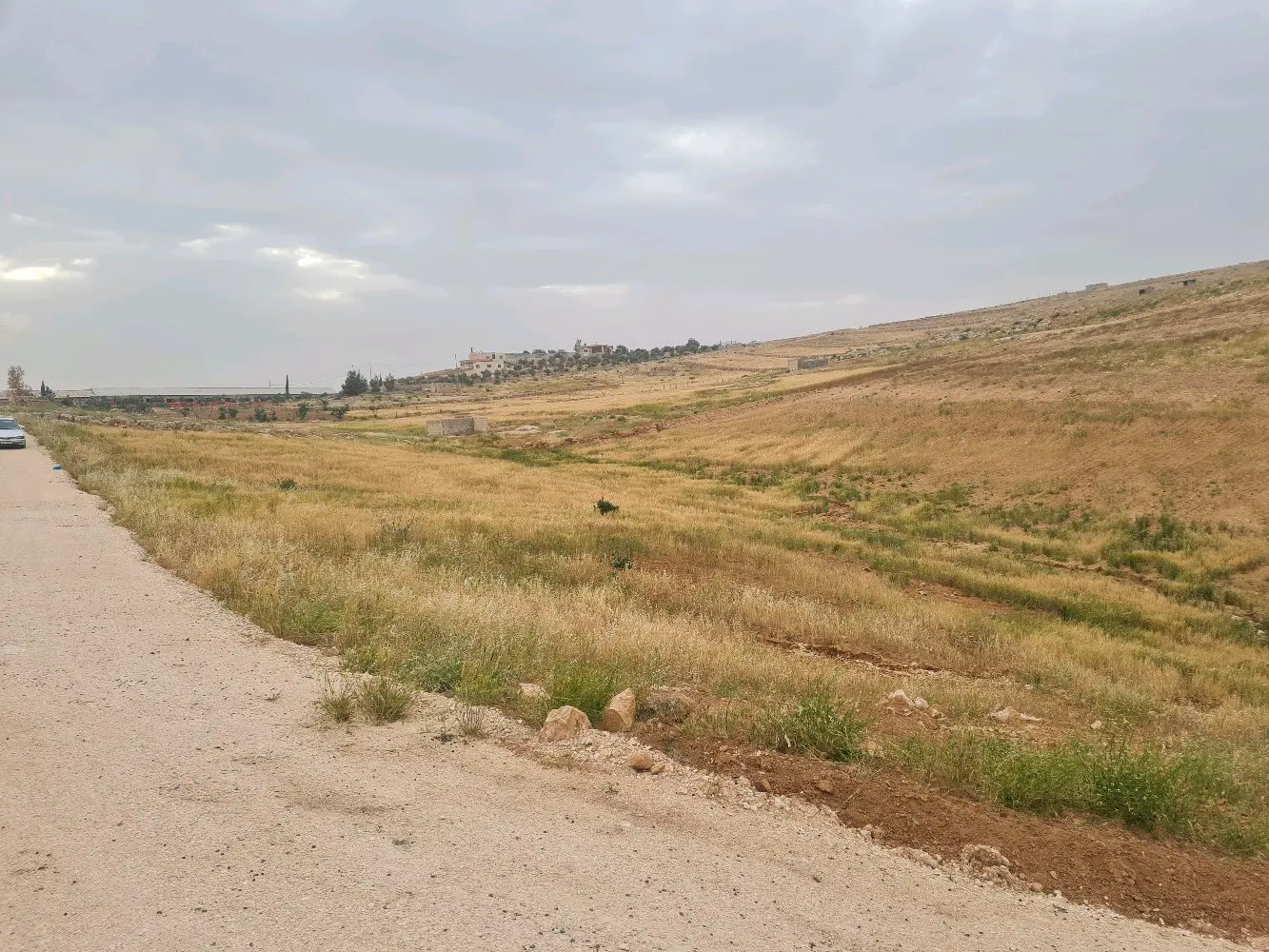 ارض زراعية للبيع