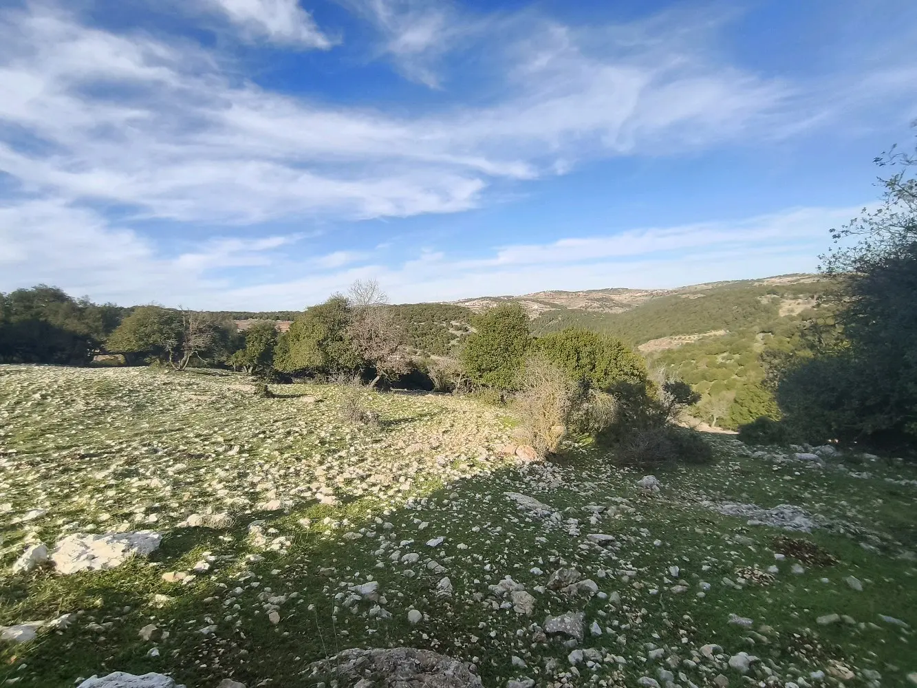 ارض للبيع في جبال عين جنا عجلون بمساحة 3687 م2 بسعر 55 الف قابل للتفاوض