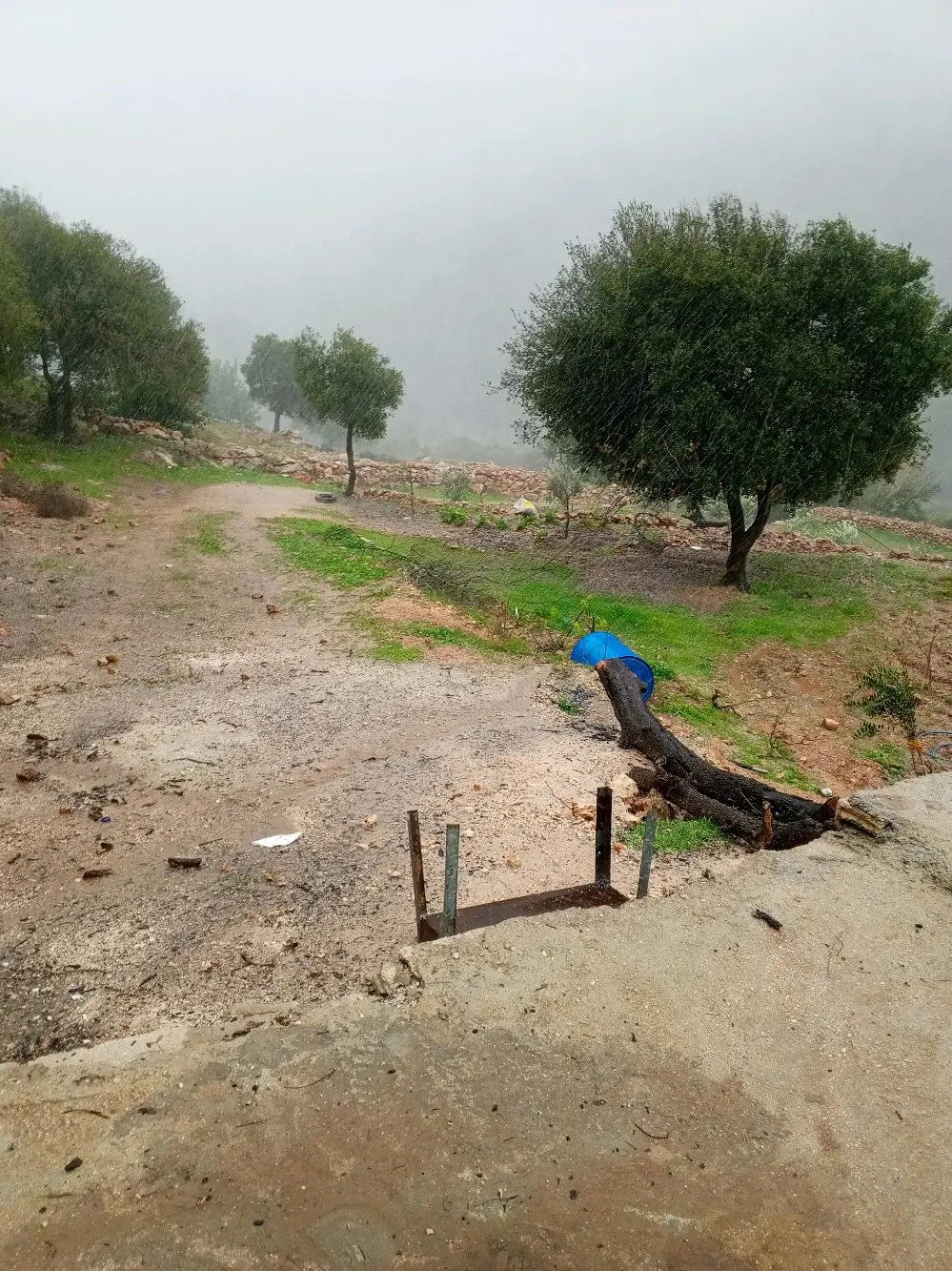 قطعة ارض للبيع منطقة برقش