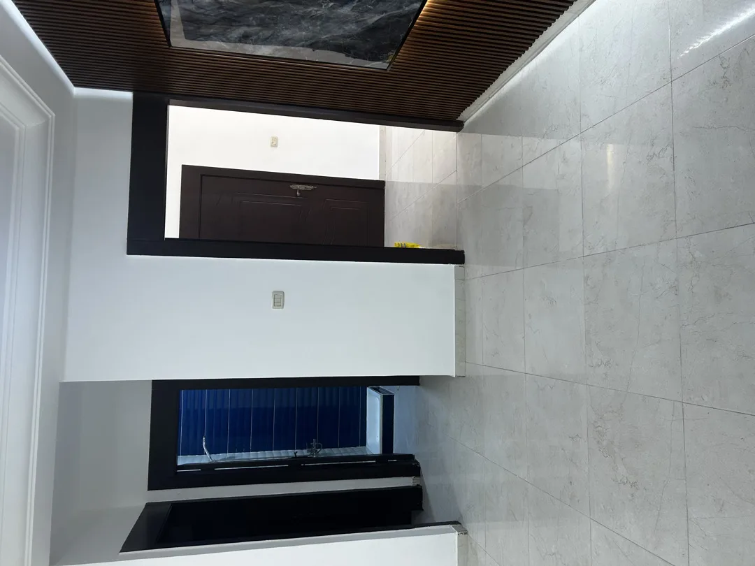 gallery 11