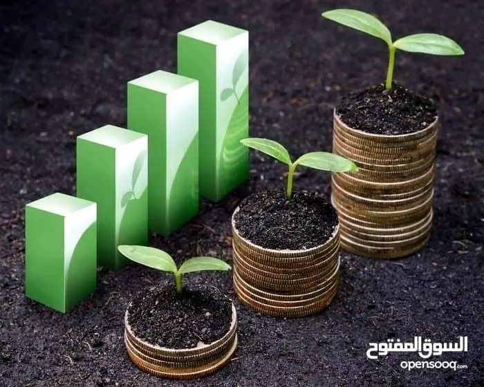 أستاذ محاسبة و اقتصاد حاصل على الامتياز لطلاب الجامعات