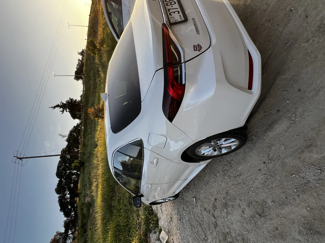 Toyota Corolla 2019