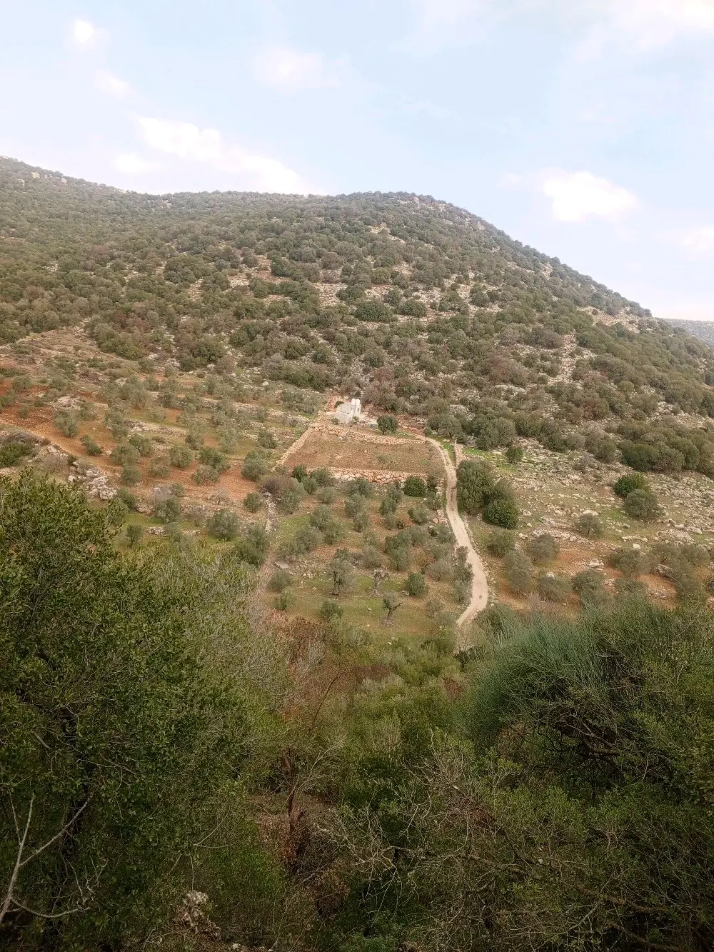 قطعة ارض للبيع منطقة برقش