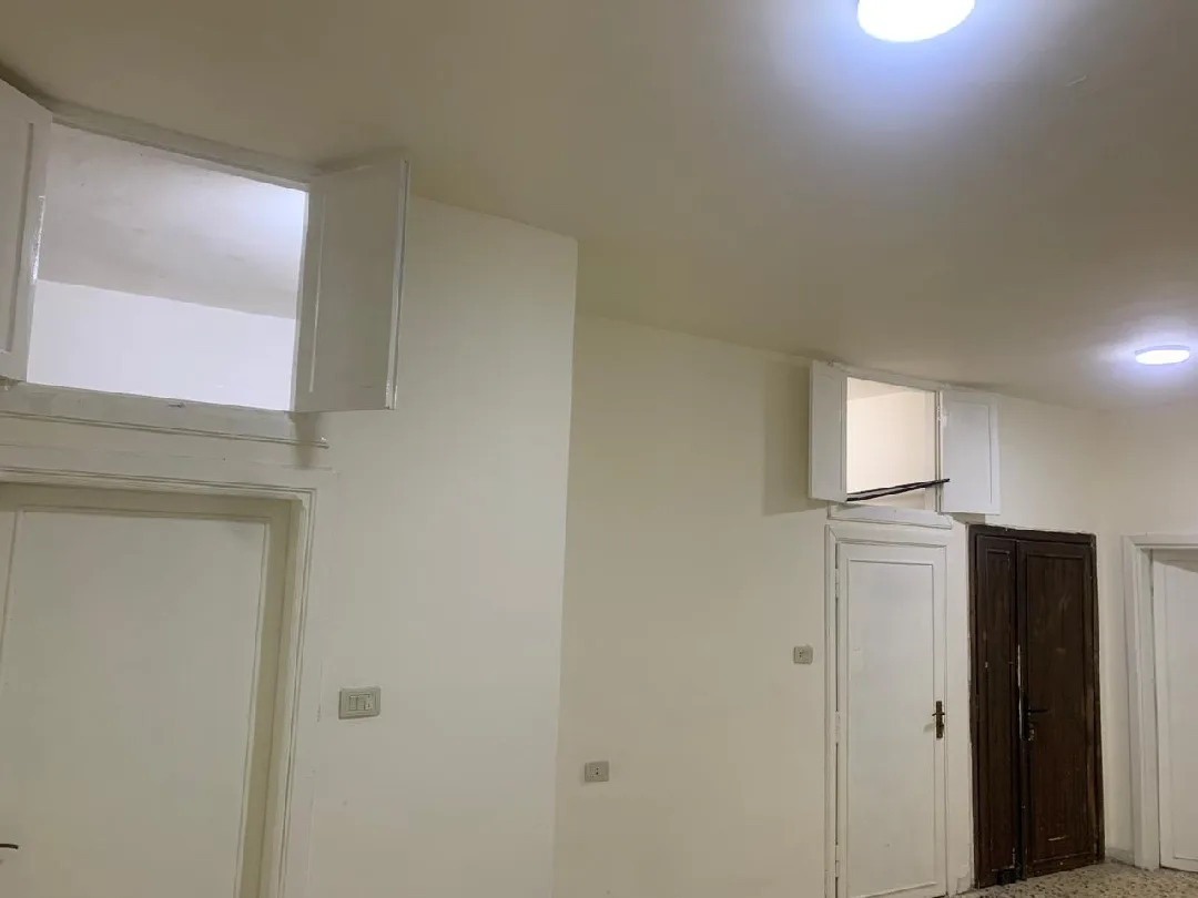 gallery 7