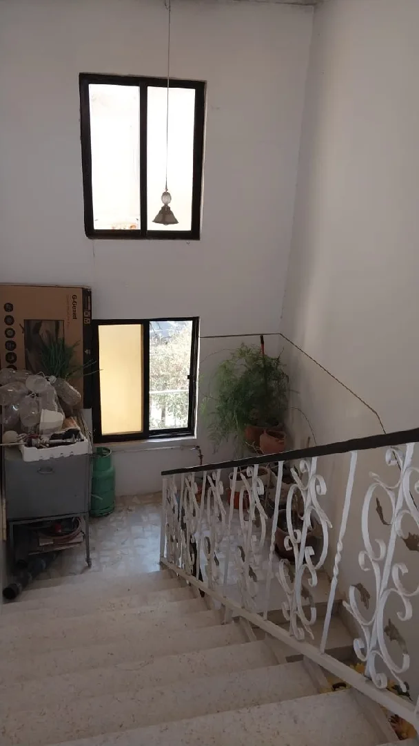 gallery 6