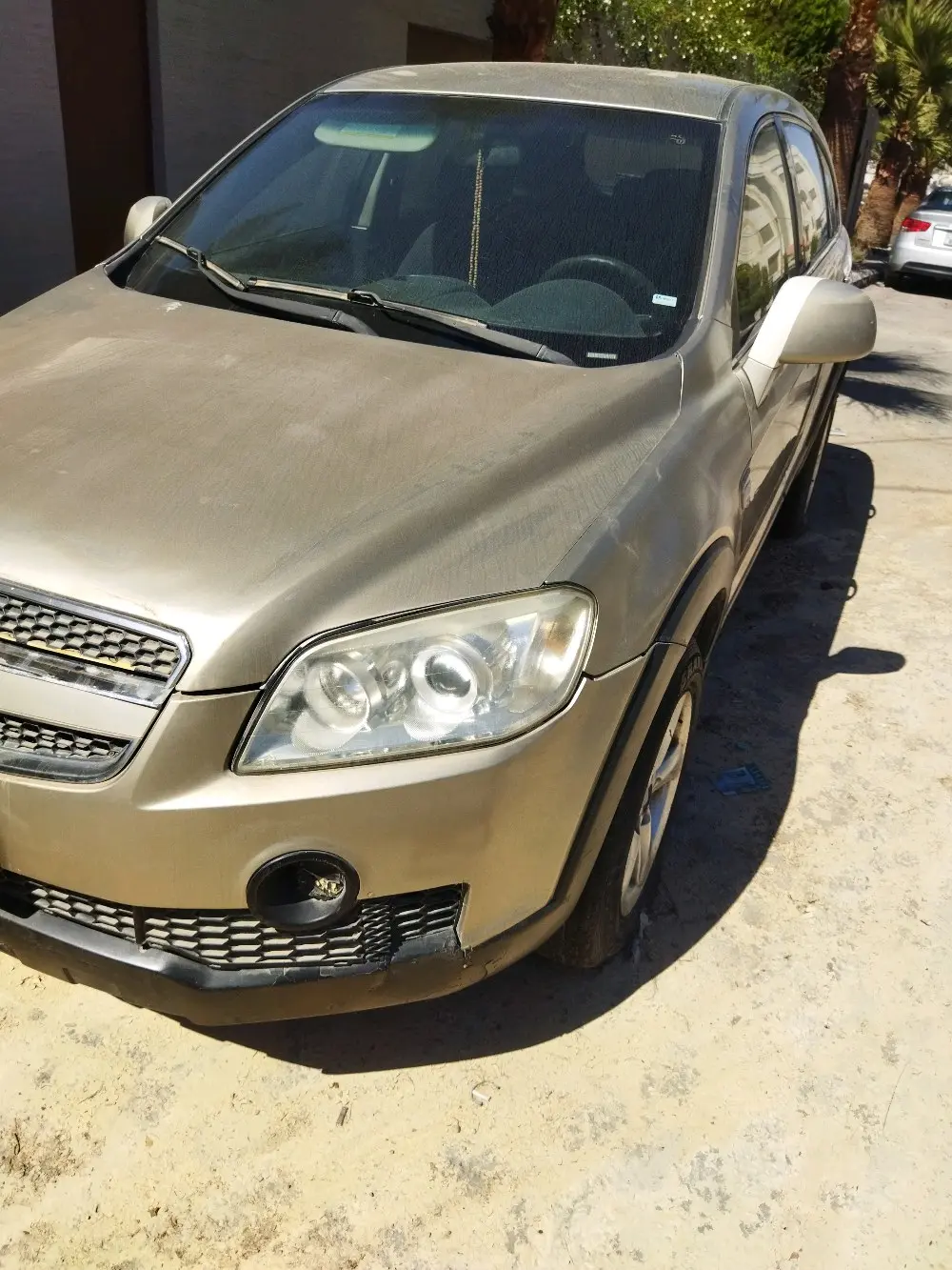 شفرليه كابتيفيا للبيع