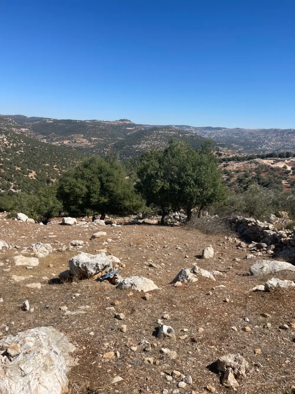 ارض باطلالة بانورامية على قلعة وجبال عجلون