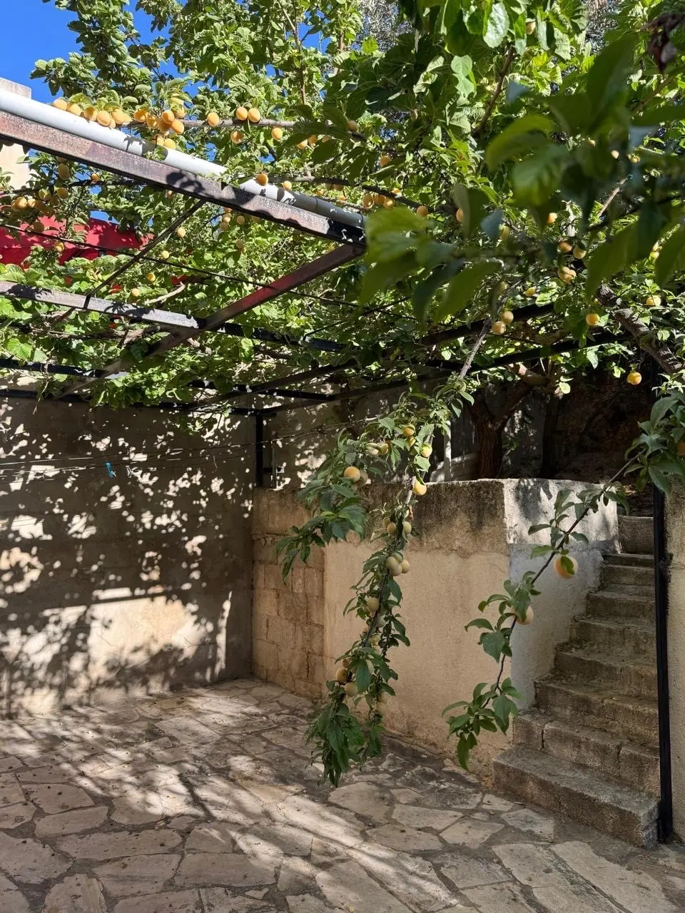 شقه ارضيه حاره ٥ ابو نصير