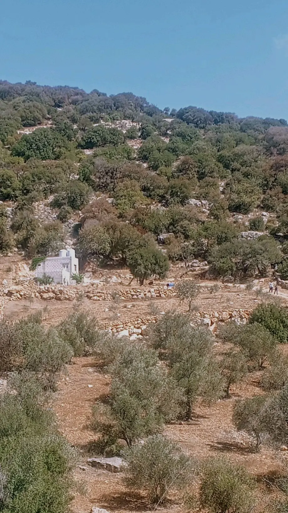 قطعة ارض للبيع منطقة برقش