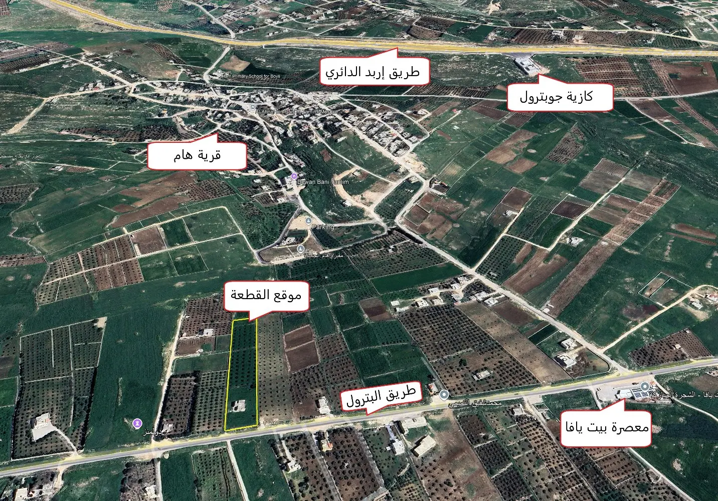 أرض للبيع - فرصة ذهبية في هام / غرب إربد