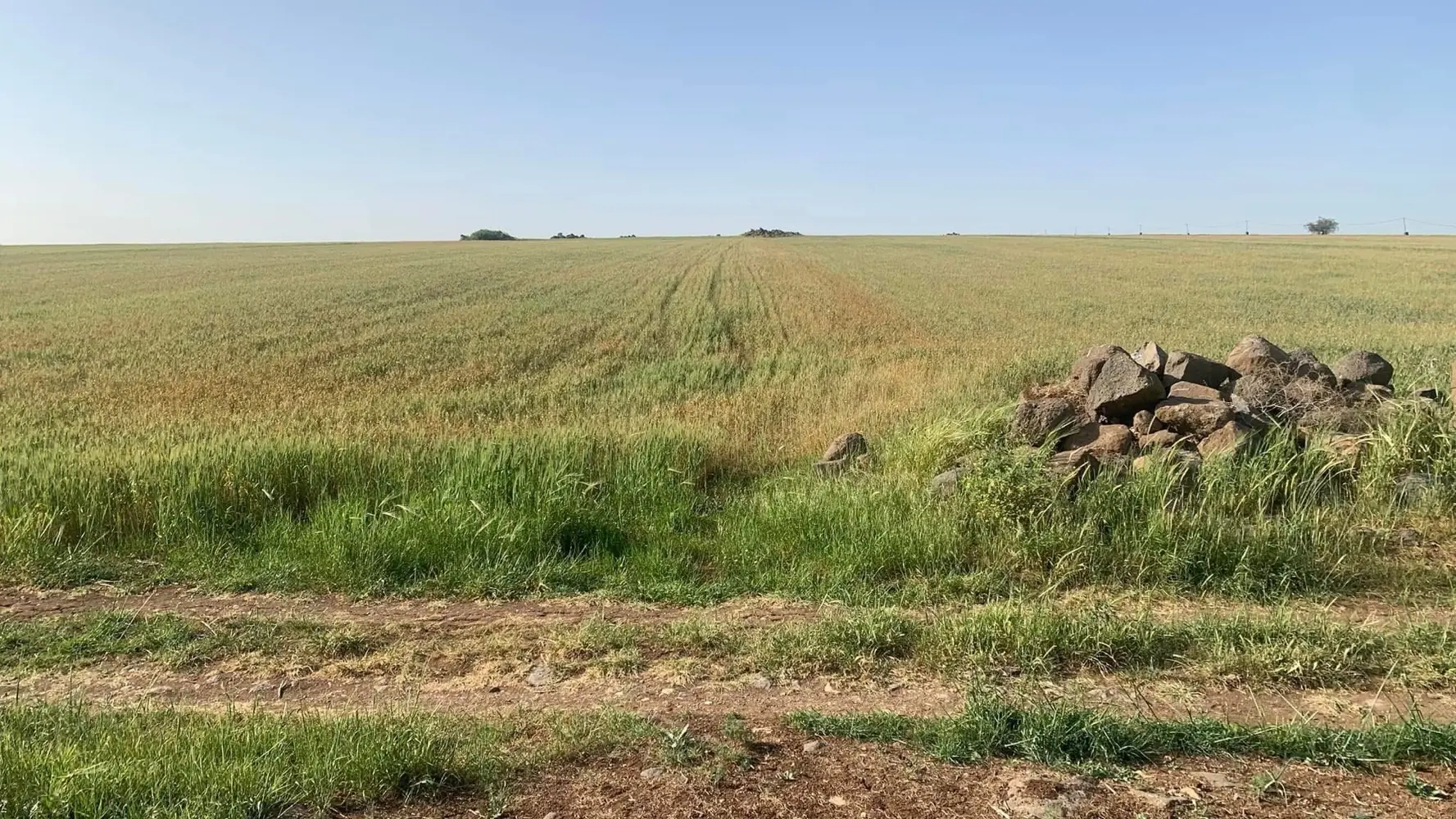 قطعة أرض في ام قيس شمال المملكة