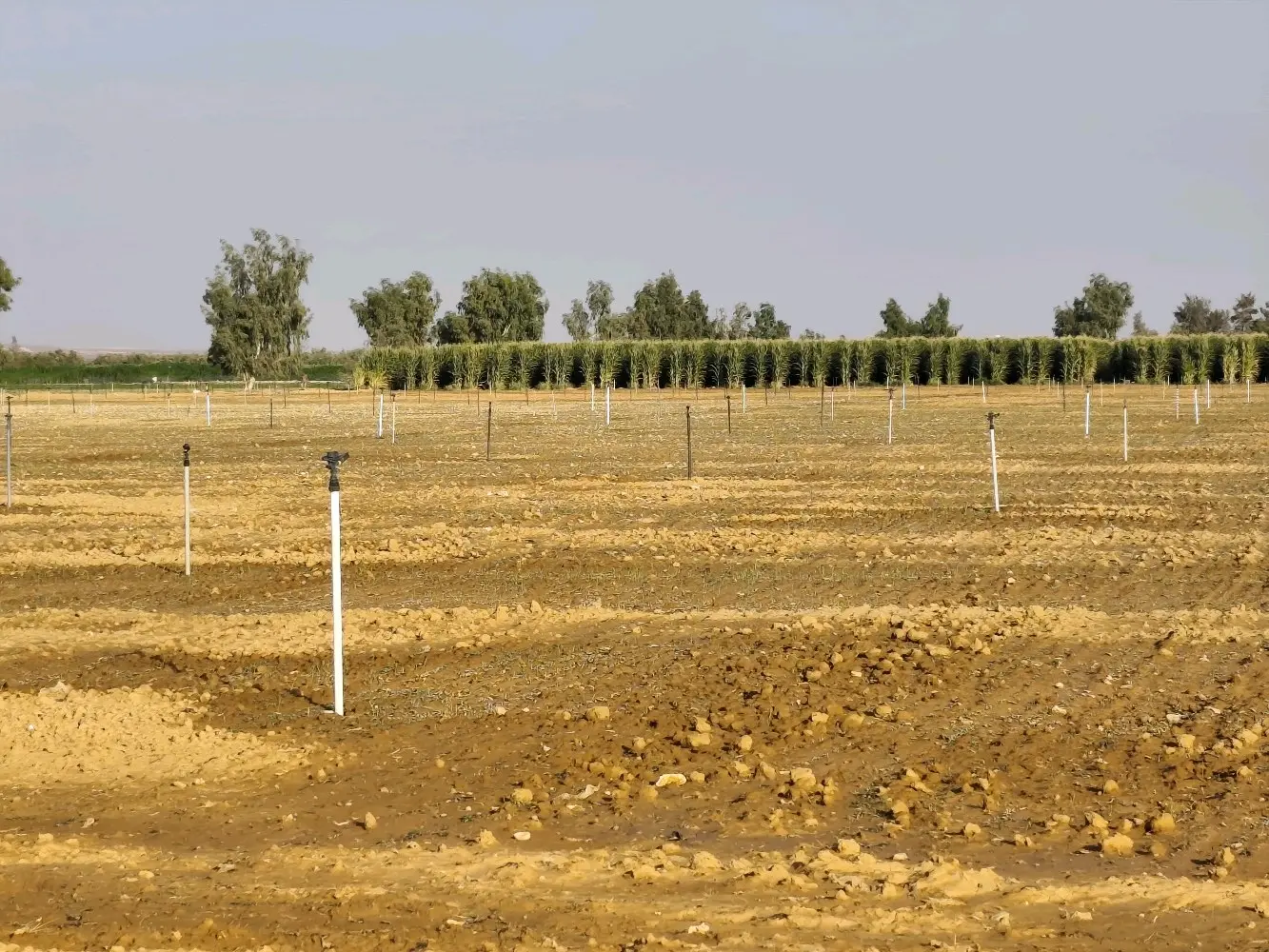 مزرعة استثمارية للبيع