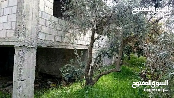 بيت عظم مسطح كبير بقريه الطيبه اربد للبيع بسعر مغري