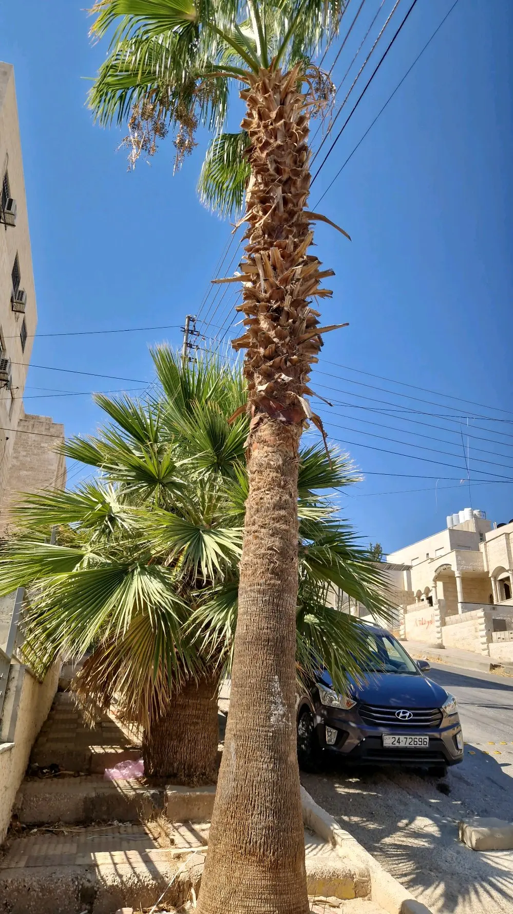 شقة صغيرة لعريس للإيجار